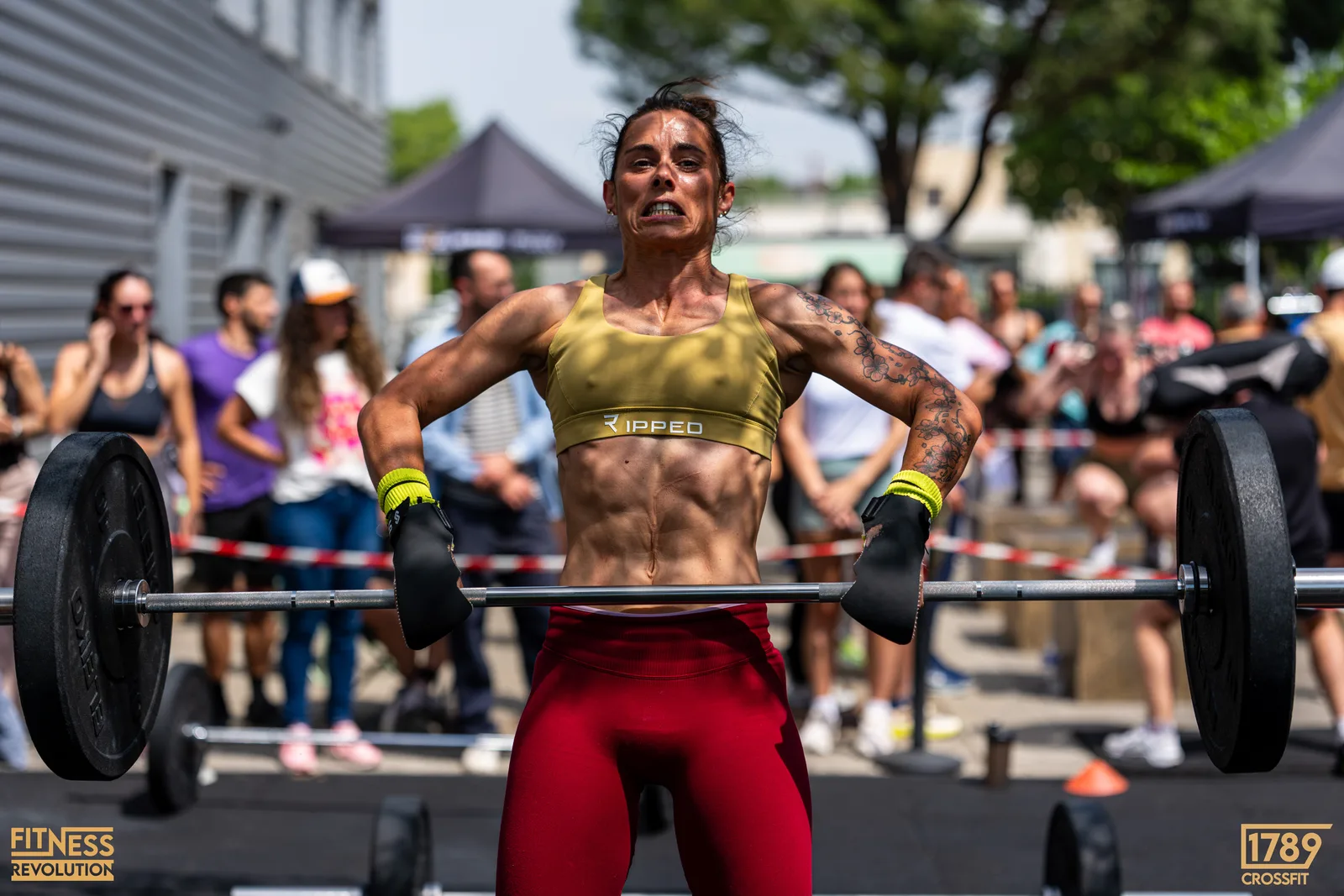 Heat 7
